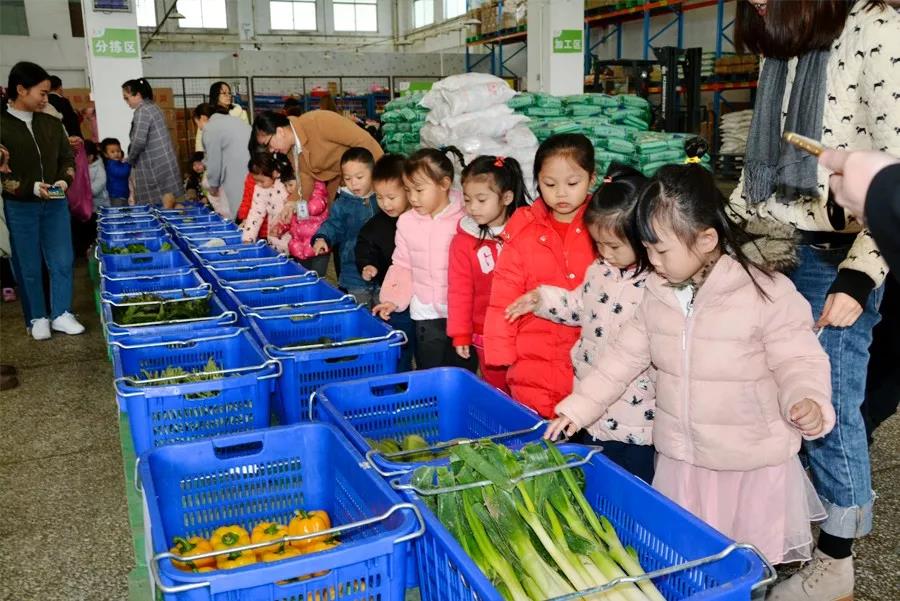 1515667346116171.jpg 5.jpg