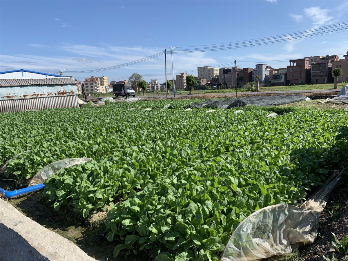 微信圖片_201908220933261_副本.jpg 微信圖片_201908220933261_副本.jpg